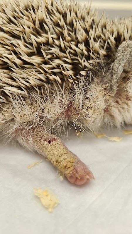 ナカムラペットクリニックの写真