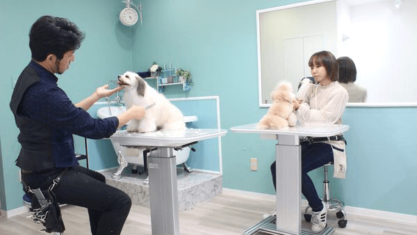 BIBICHE(ビビッシュ) 目黒本店 DOG&CAT Salon DE Kitchenの写真