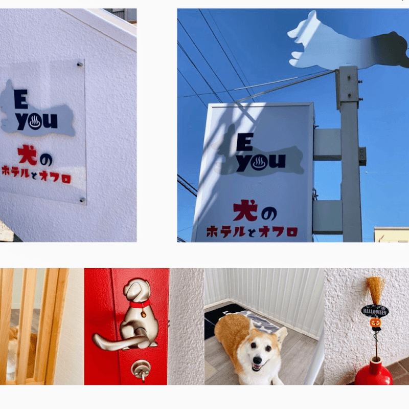 Eyou犬のホテルとオフロの写真