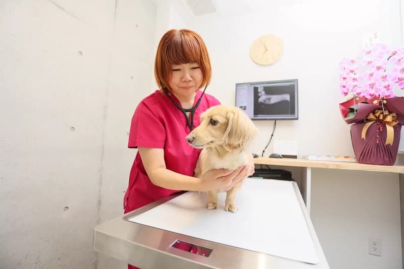富士見台どうぶつ病院 練馬区の写真