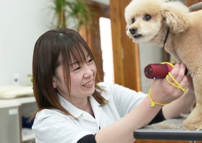 トリミングハウス ギルモア 大分下郡店の写真
