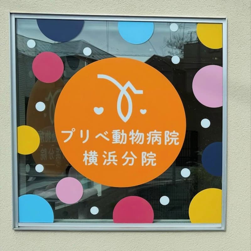 プリべ動物病院 横浜分院の写真