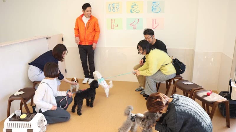 家族と子犬の学校 cocoicoの写真