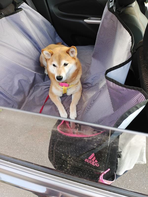 うえだ動物病院の写真