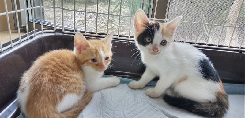 いろは動物クリニックの写真