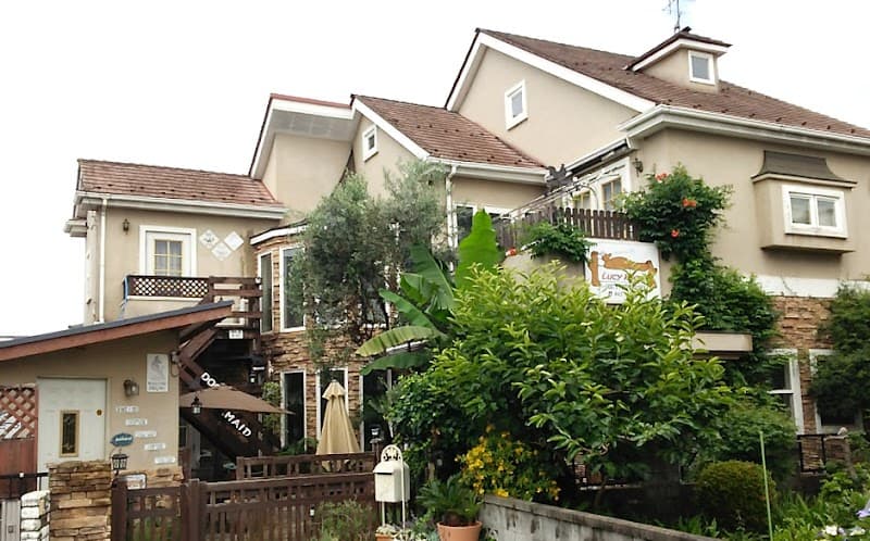 ルーシールーム Dog’s petit hotelの写真