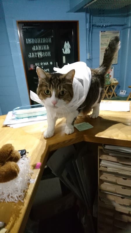 堀越動物病院の写真