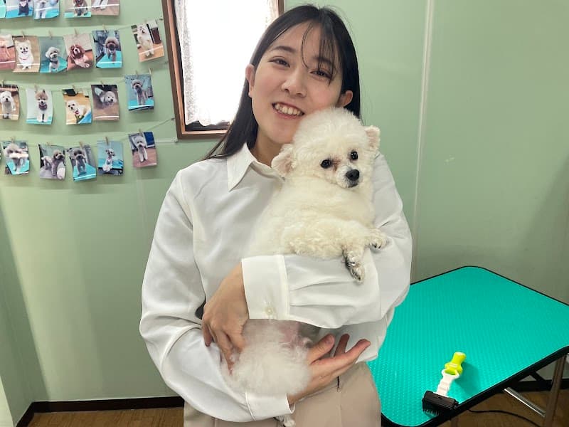 トリミングサロンD-DOGs(ダイヤモンドドックス)の写真1
