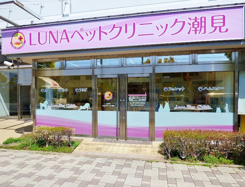 LUNAペットクリニック潮見|江東区 動物病院 うさぎの写真