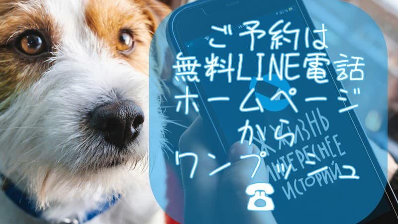 ペットホテルmedecomedeco(メデコメデコ)の写真1