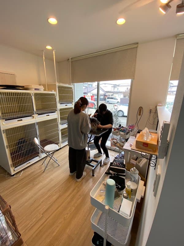 グルーミングサロン シャンプーチ 盛岡店の写真