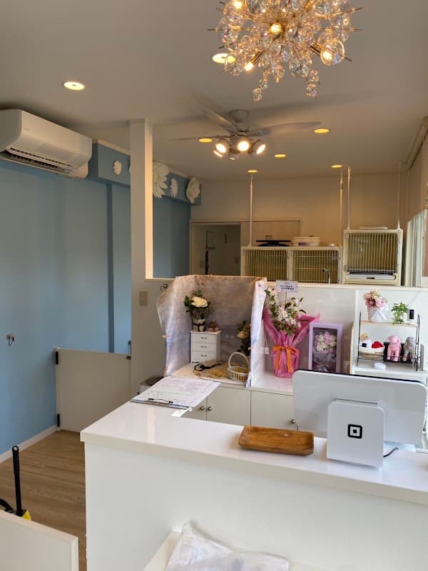 グルーミングサロン シャンプーチ 盛岡店の写真4