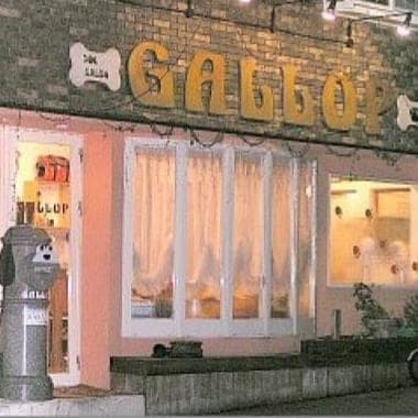 Dog salon GALLOP(ギャロップ)の写真