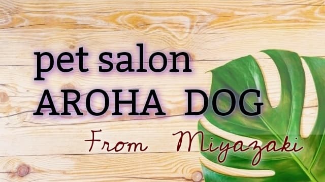 AROHA DOG/波多野則子の写真1
