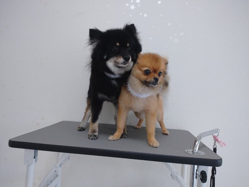 DOG SALON Hund (ドッグサロンフント)の写真