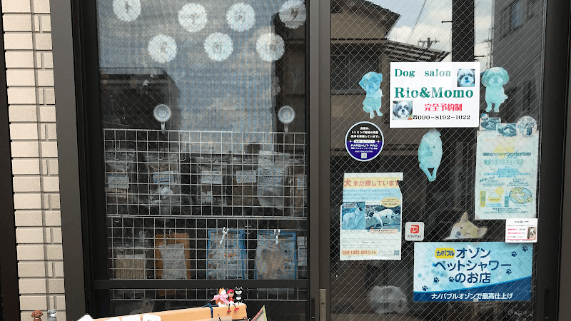 Dog Salon Rio&Momoの写真