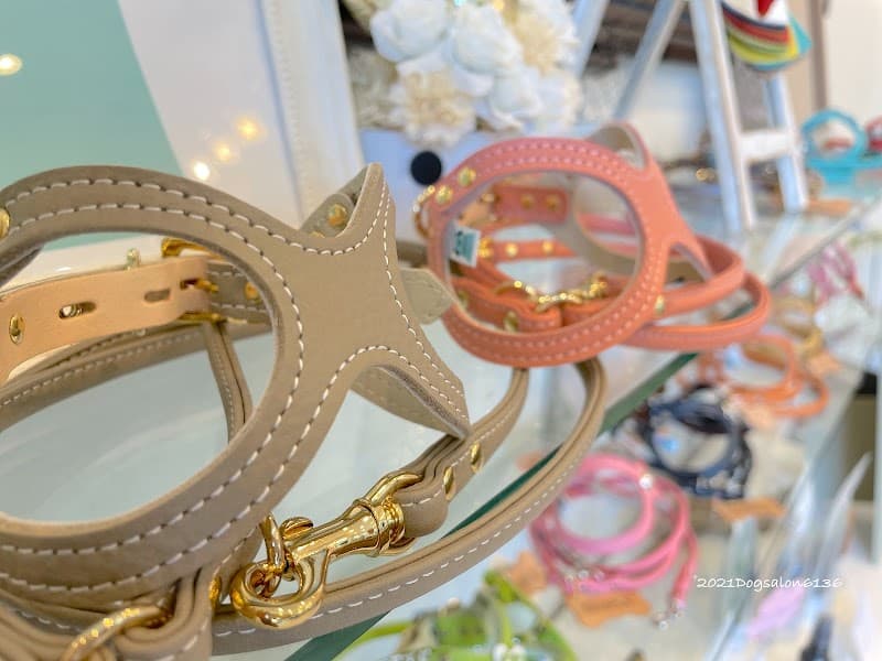 Dog Salon 6136の写真