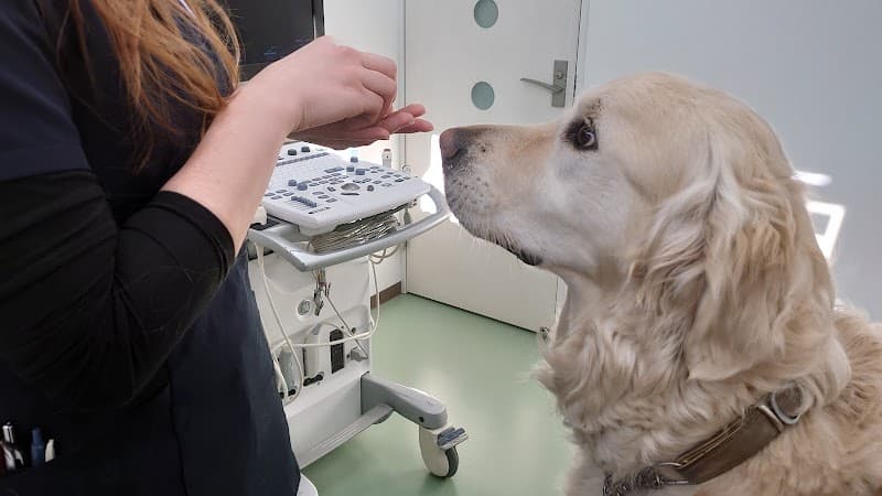 ふじのペットクリニックの写真