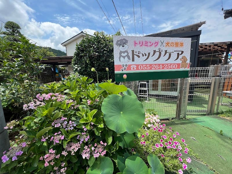 ドッグケアの写真
