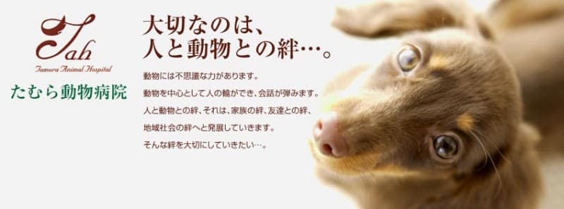 かなざわ動物総合医療センターの写真