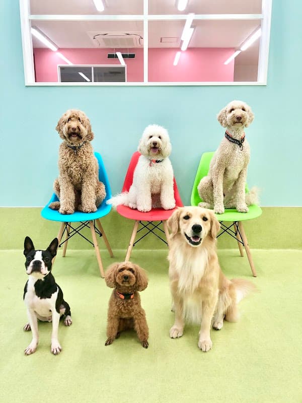 ZUTTO DOG(ズットドッグ)の写真