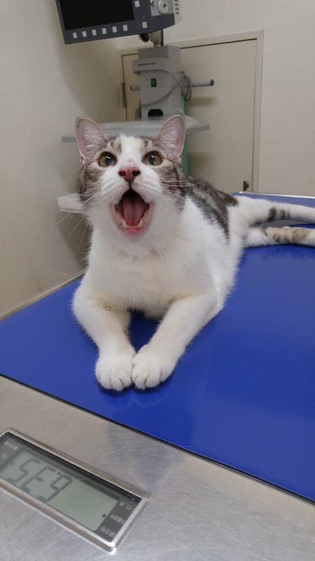 松宮動物病院の写真