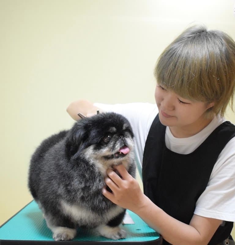 ドッグサロンKurumi Houseの写真