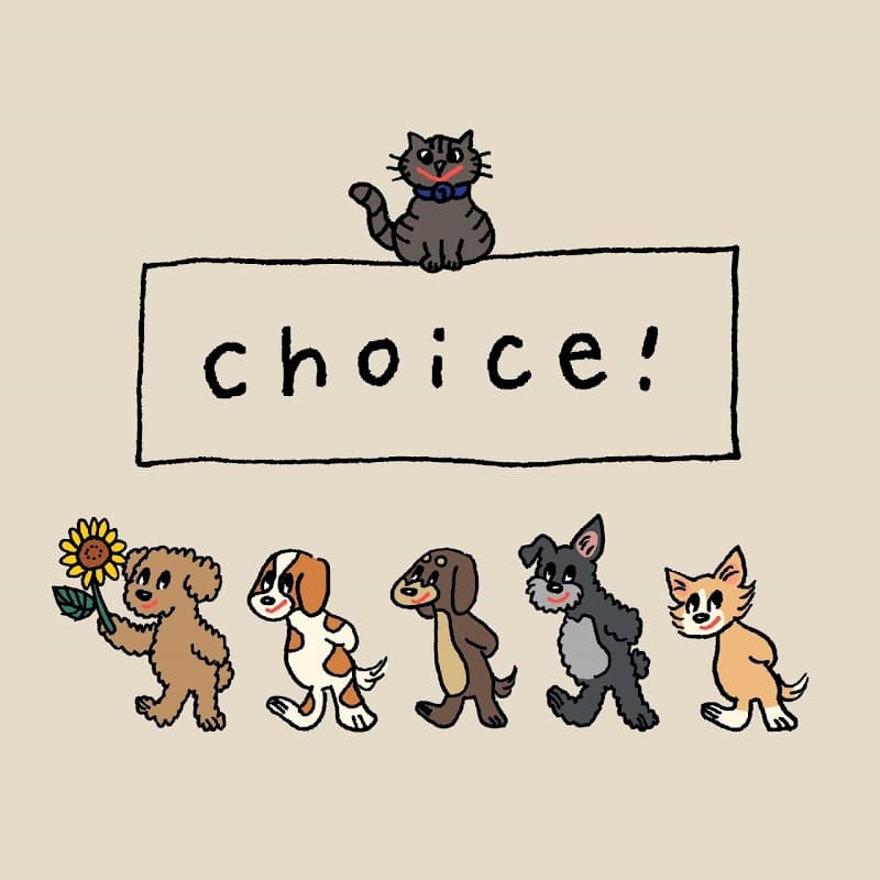 Pet Salon Choiceの写真4
