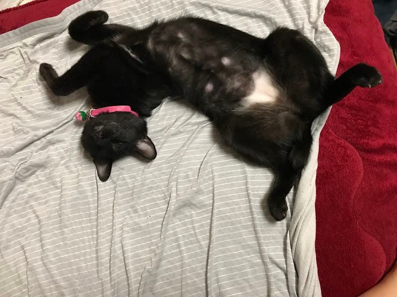 古市動物病院の写真