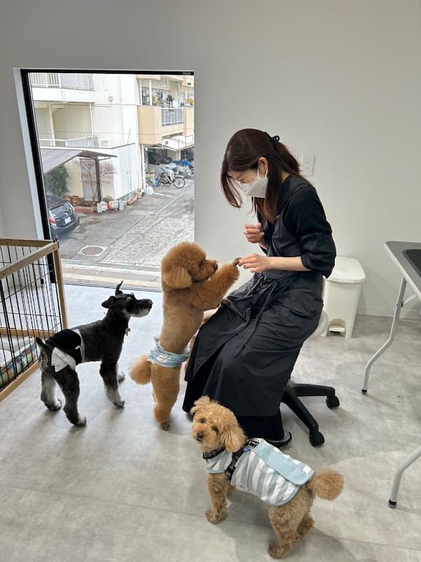 Belle Cane -dog design-の写真2