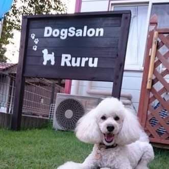 DogSalonRuruドッグサロンルルの写真
