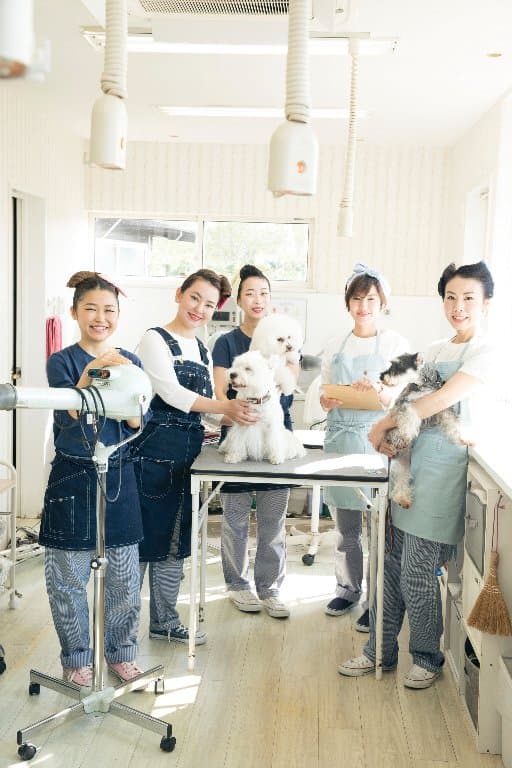 犬の美容室トップの写真