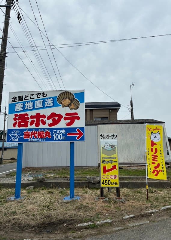 トリミングサロンミッキーの写真3