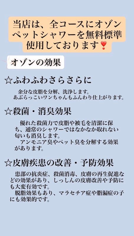 トリミングサロンミッキーの写真5