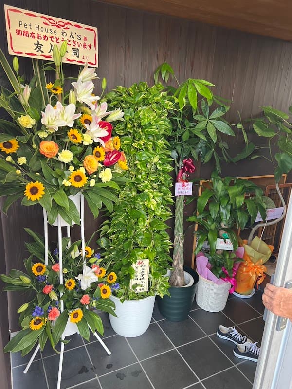 トリミングサロン&ペットホテル Pet House わん’sの写真4