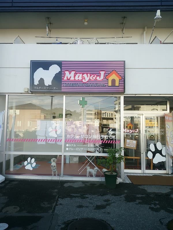 ペットショップMay&Jの写真