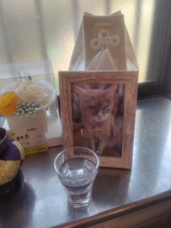 しあわせ動物クリニックの写真