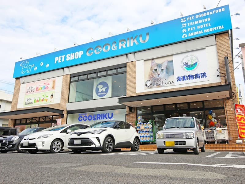 ペットショップCoo&RIKU 鹿児島店の写真1