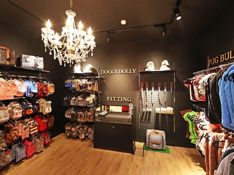 ペットショップCoo&RIKU 鹿児島店の写真4