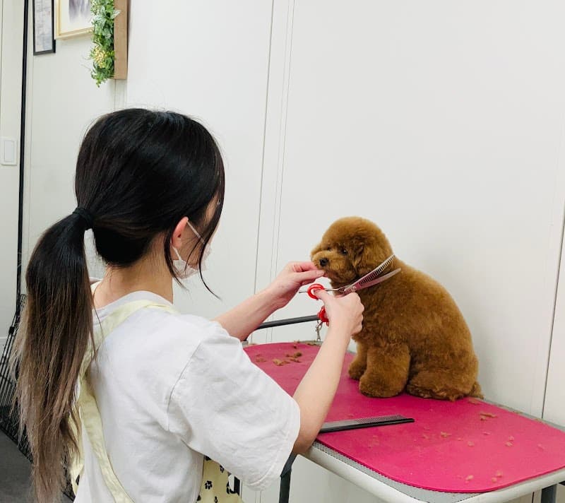 Grooming salon Beate(ベアテ)の写真