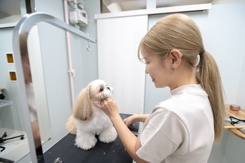 pet salon Milk(ペットサロン ミルク)の写真