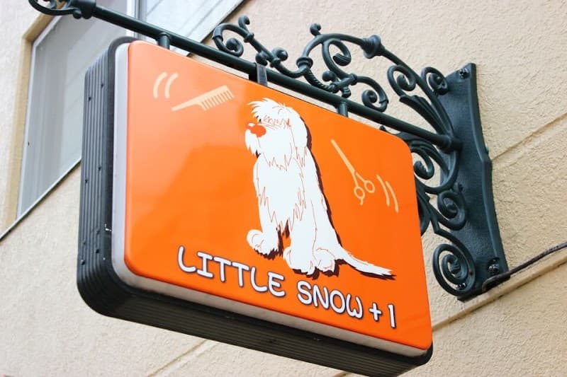 DOGトリミングスタジオLITTLE・SNOW・プラス1の写真1