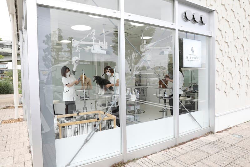 トリミングサロンアラモード 柏の葉T-SITE店の写真