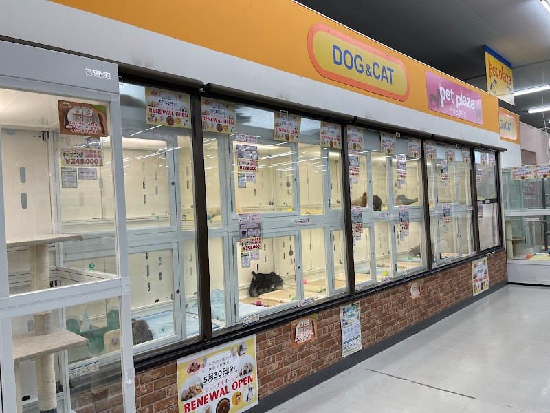 ペットプラザ 寝屋川昭栄店 (犬猫・トリミング・ペットホテル)の写真1