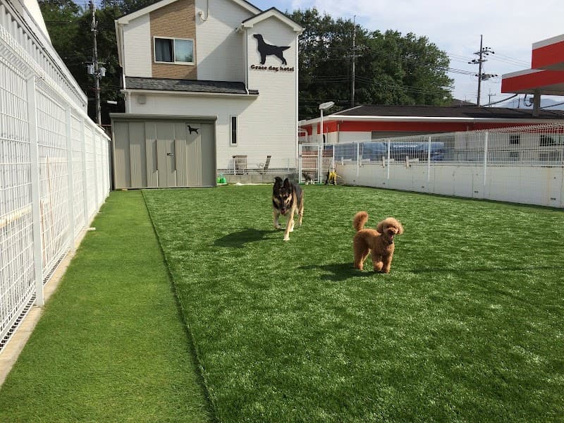 グレイスドッグホテルの写真