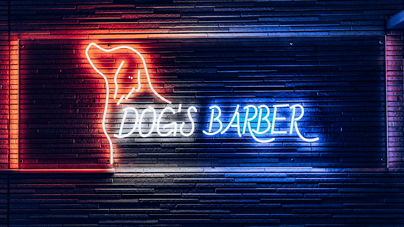 Dog’s Barber LULUNCHI/ドッグスバーバールルンチの写真