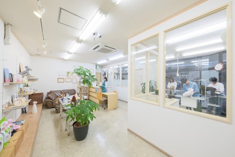 トリミング&ペットホテル アイズドッグ 大治本店の写真