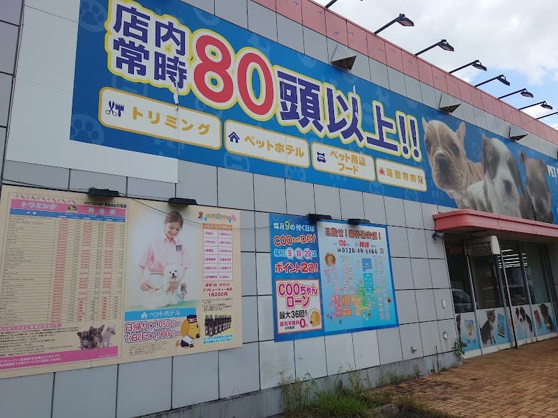 海動物病院 東近江往診所の写真