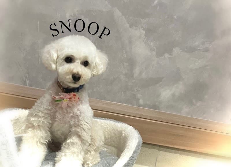 ペットサロンSNOOPの写真