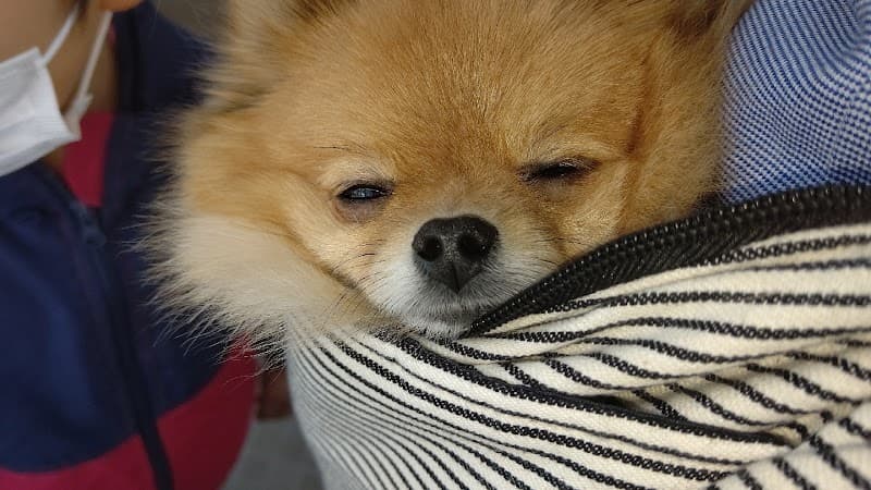 とも動物病院の写真